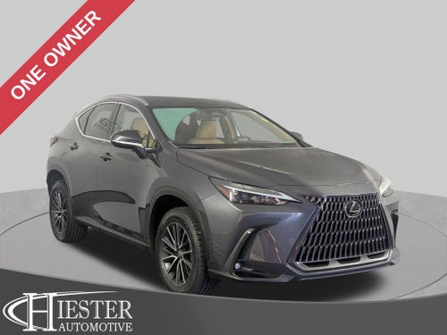 2024 Lexus NX 250 Base