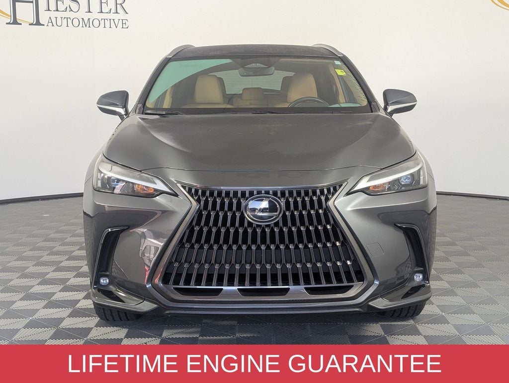 2024 Lexus NX 250 Base