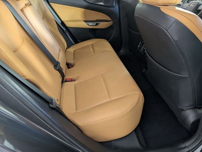 2024 Lexus NX 250 Base