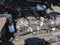 2026 Jeep Wrangler Moab 392