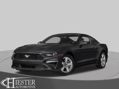 2019 Ford Mustang EcoBoost